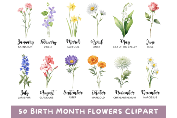 Celebrate Every Month: 50 Watercolor Birth Month Flowers PNG
