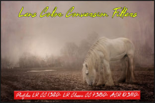 Transform Your Tones: Lens Color Conversion Filters Profiles for Adobe